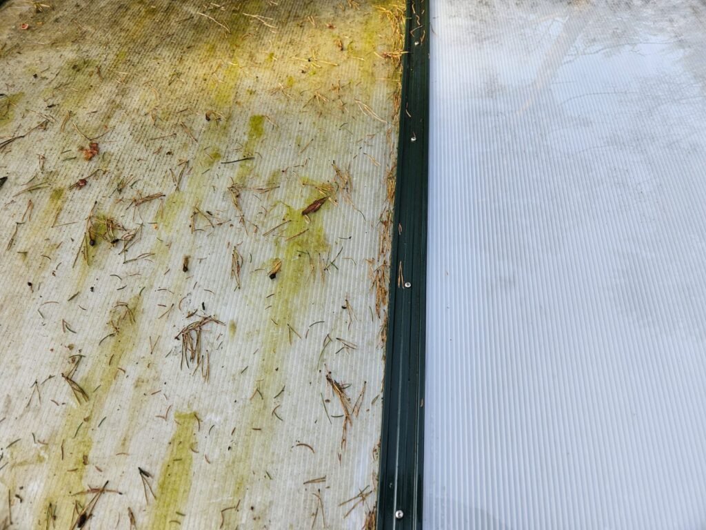 Kunststof overkapping van dichtbij: links nog groen van algen en vol naalden, rechts al schoon